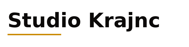 Studio Krajnc logo
